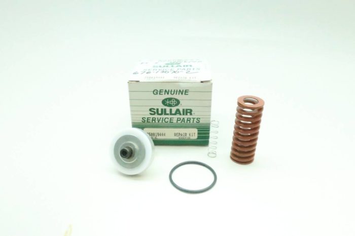 Genuine Sullair 250019-444 Minimum Pressure Check Valve Repair Kit